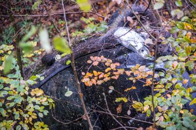 Reichenbach: Pkw kommt von der Fahrbahn ab und landet in Schlucht - Fahrer verletzt